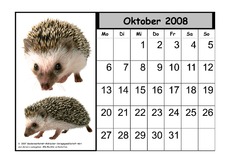 Tier-Kalender-08-10.pdf